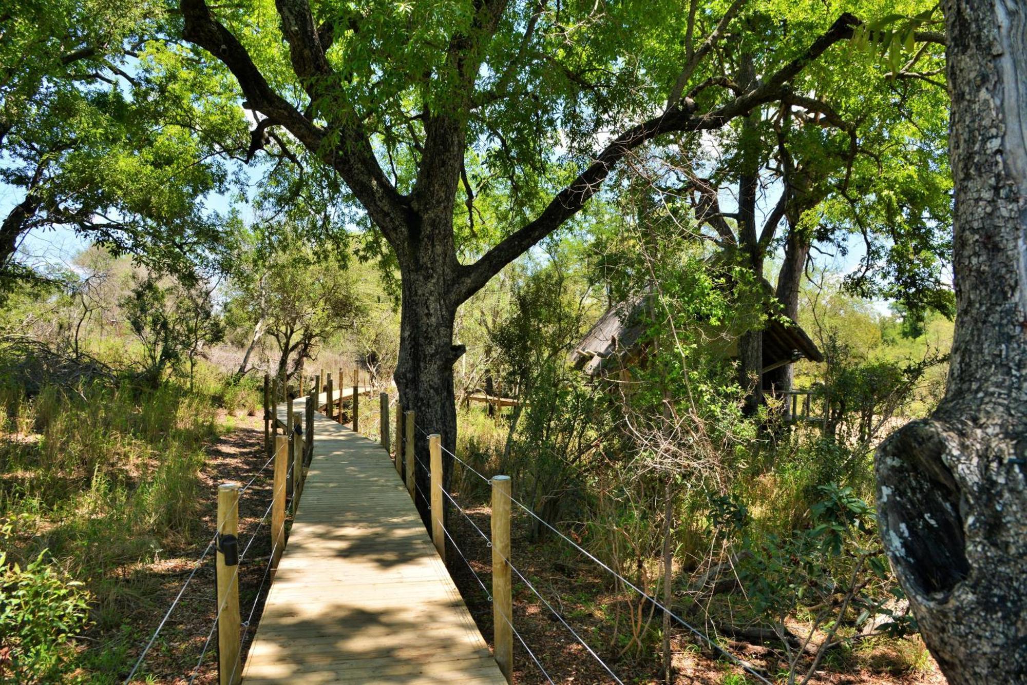 סקוקוזה Rhino Post Safari Lodge מראה חיצוני תמונה