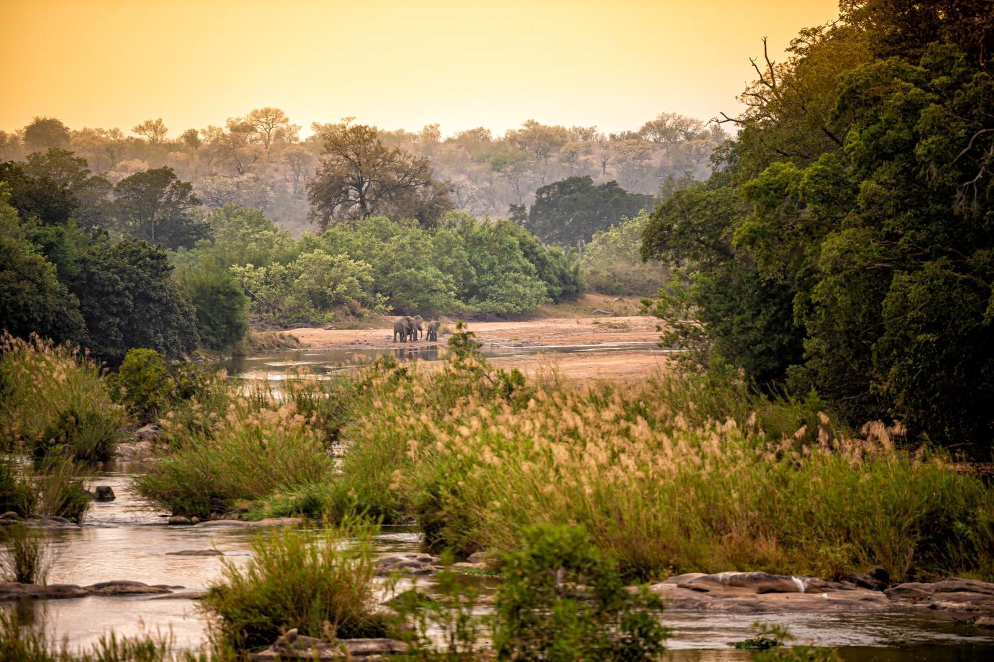 סקוקוזה Rhino Post Safari Lodge מראה חיצוני תמונה